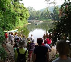 Brodnik čez reko Kelani